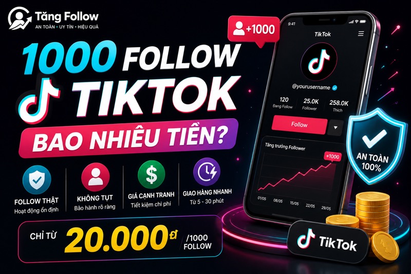 1000 Follow TikTok bao nhiêu tiền?