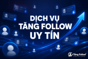 Dịch vụ tăng follow uy tín cho nhiều nền tảng mạng xã hội