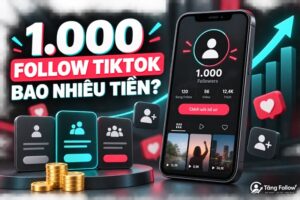 Chi phí mua 1.000 follow TikTok theo từng loại gói