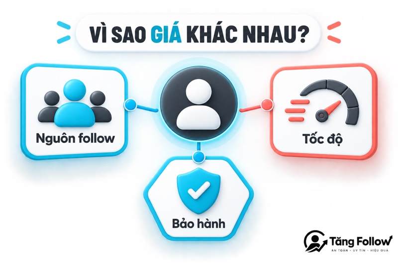Các yếu tố ảnh hưởng đến giá follow TikTok