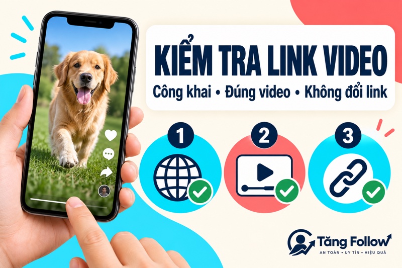 Kiểm tra video công khai và đúng đường dẫn trước khi tăng tim