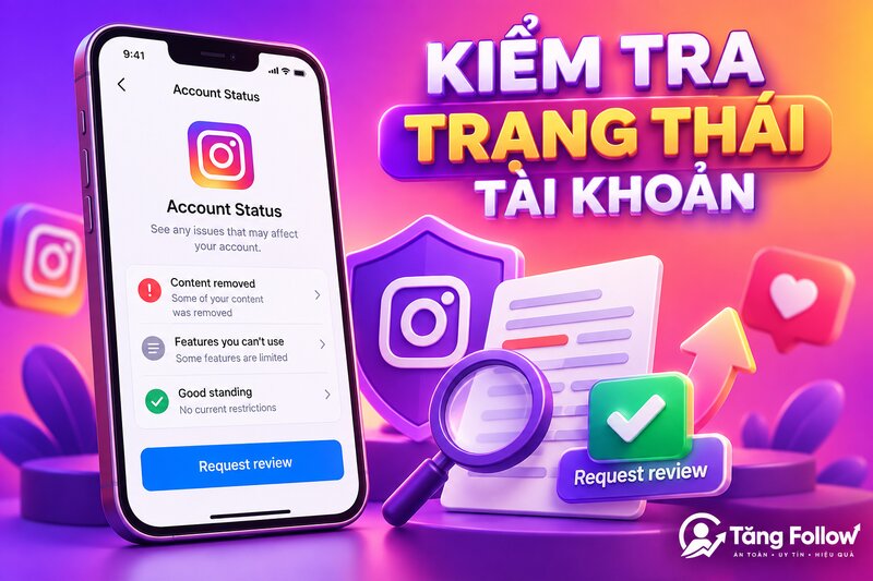 Kiểm tra Trạng thái tài khoản Instagram