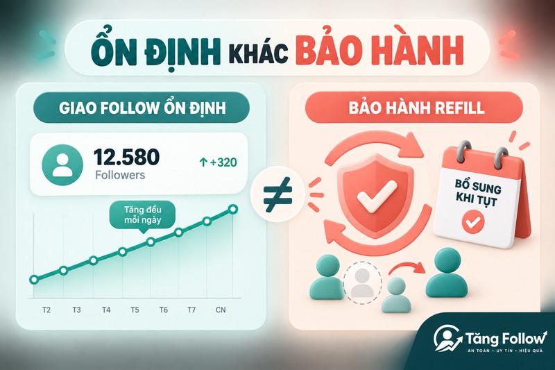 Phân biệt follow TikTok ổn định và bảo hành refill