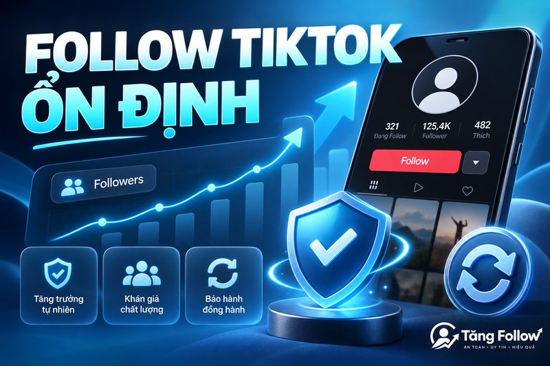 Web tăng follow TikTok không tụt với tốc độ ổn định